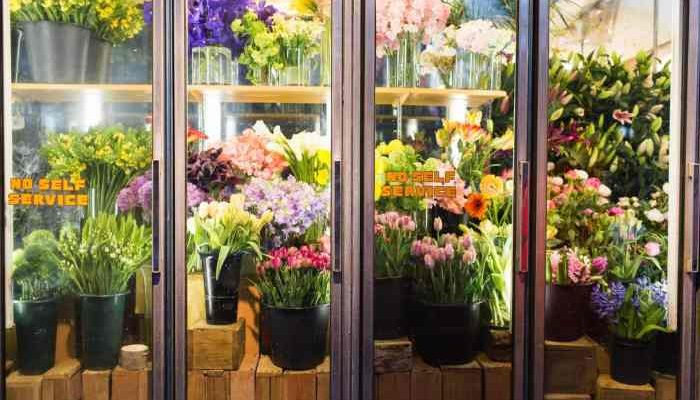 Plant Shed New York Flowers A Growing Guide